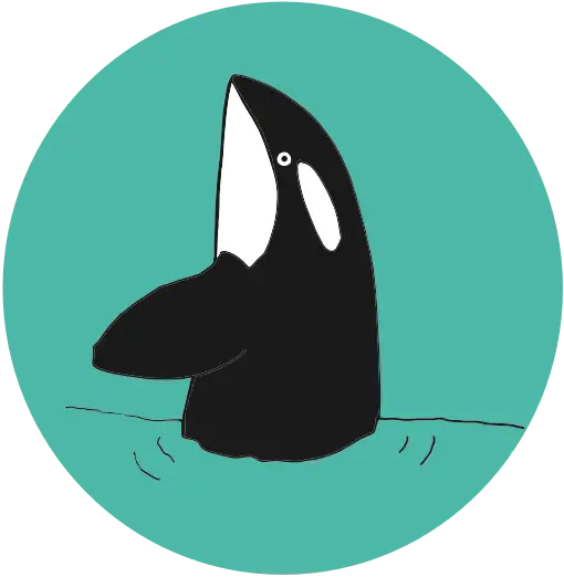 Orca Orca